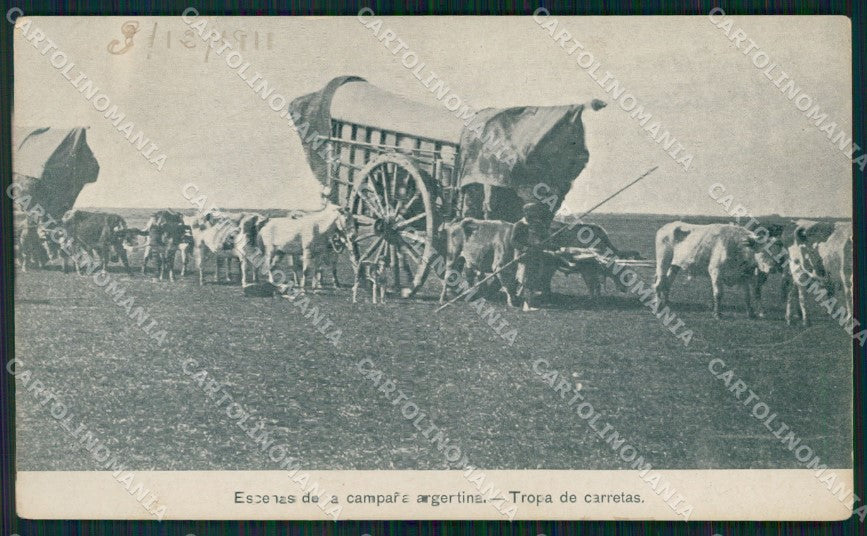 Argentina Types Ethnic Tropa de Carretas postcard XP1796 – fronte
