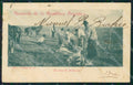 Argentina Types Ethnic La caza de Avestruces postcard XP1803 – fronte