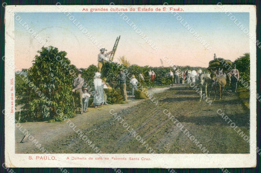 Brazil Sao Paulo Colheita de Cafe postcard XP2101 – fronte