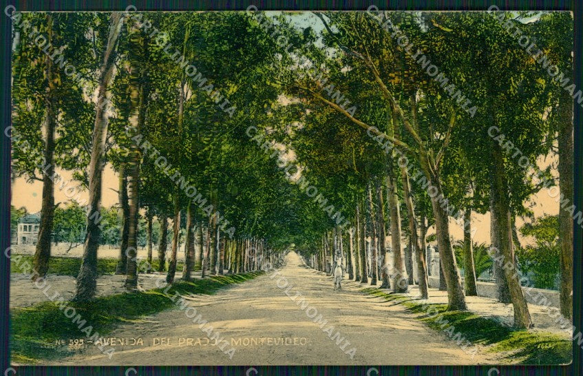 Uruguay Montevideo Avenida del Prado postcard XP2109 – fronte