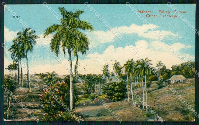 Cuba Havana Habana Paisaje Cubano postcard XP2127 – fronte