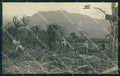 Honduras Monte Cristo Cutting Cane RPPC postcard XP2138 – fronte