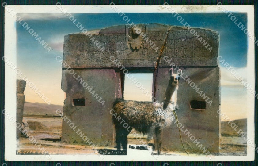 Bolivia Tiahuanaco Puerta del Sol Tiwanaku RPPC postcard XP2170 – fronte