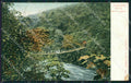 Peru Pozuzo Puente Colgante postcard XP2198 – fronte