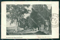 Uruguay Nueva Helvecia Colonia Suiza Avenida Hotel del Prado postcard XP2235 – fronte
