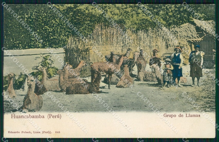 Peru Huancabamba Llamas postcard XP2269 – fronte