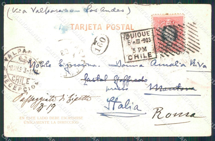 Chile Iquique Isla Serrano postcard XP2271 – retro