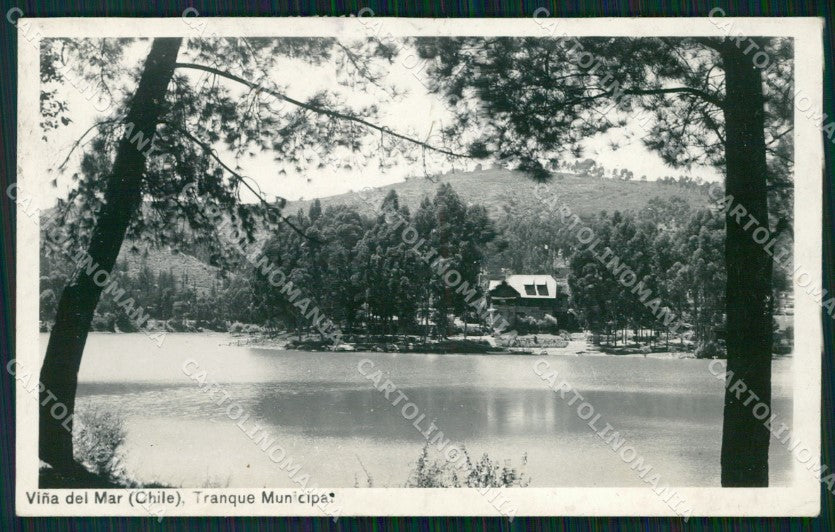 Chile Vina de Mar RPPC postcard XP2286 – fronte