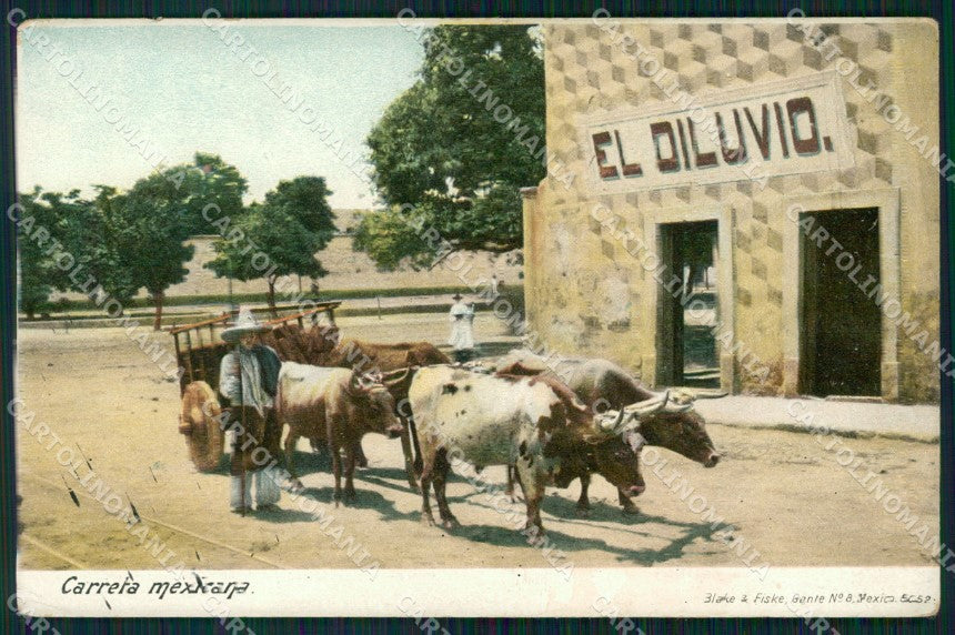 Mexico Carreta Ethnic Types postcard XP2290 – fronte