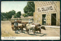 Mexico Carreta Ethnic Types postcard XP2290 – fronte