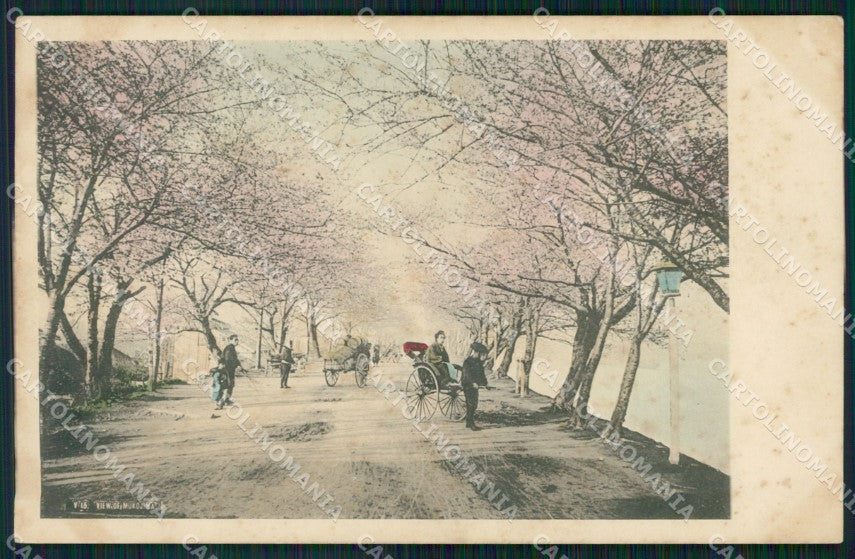 Japan Tokio Mukojima postcard XP2341 – fronte