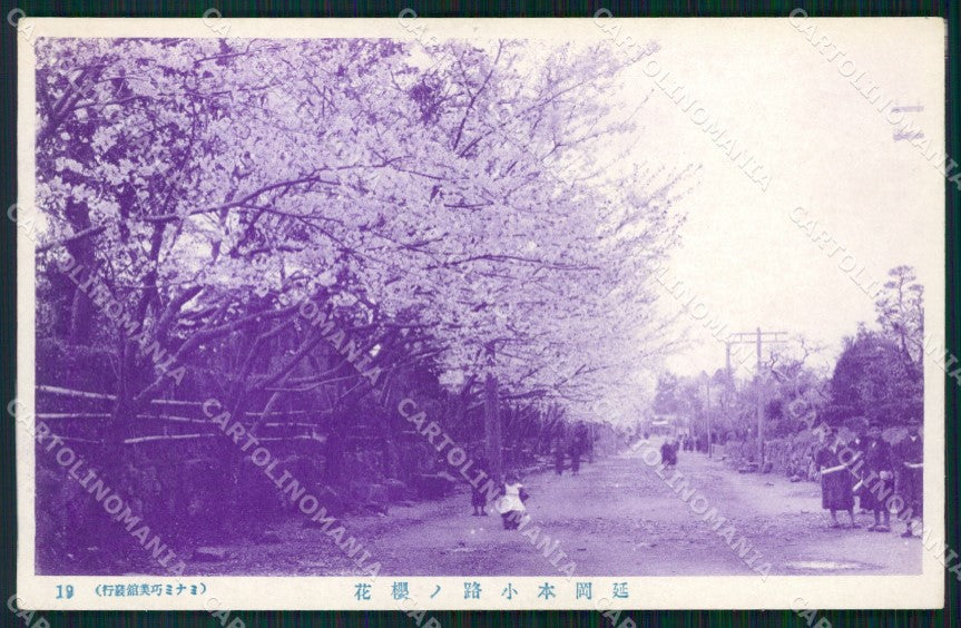Japan Tokio ? postcard XP2410 – fronte