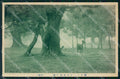 Japan Tokio ? postcard XP2418 – fronte
