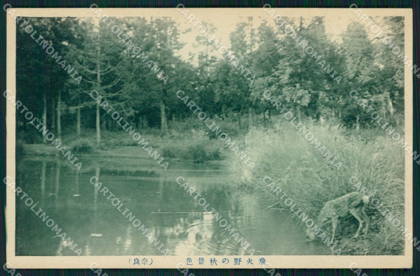Japan Tokio ? postcard XP2419 – fronte