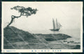 Japan postcard XP2454 – fronte