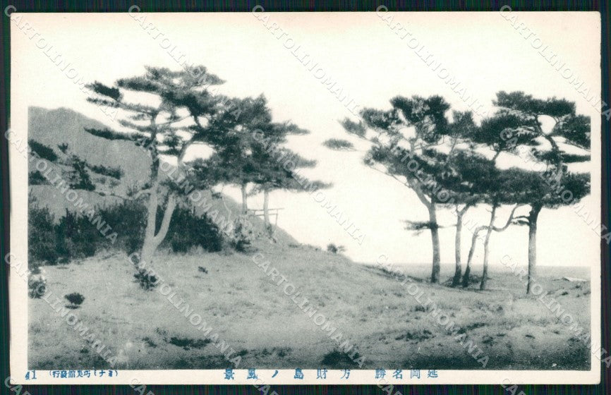 Japan postcard XP2455 – fronte