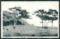 Japan postcard XP2455 – fronte