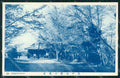 Japan postcard XP2457 – fronte