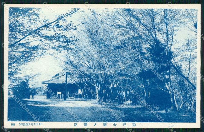 Japan postcard XP2457 – fronte