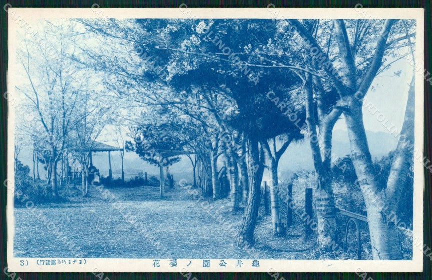 Japan postcard XP2458 – fronte