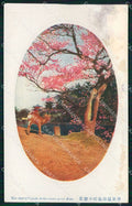 Japan Nara DAMP TRACE postcard XP2468 – fronte