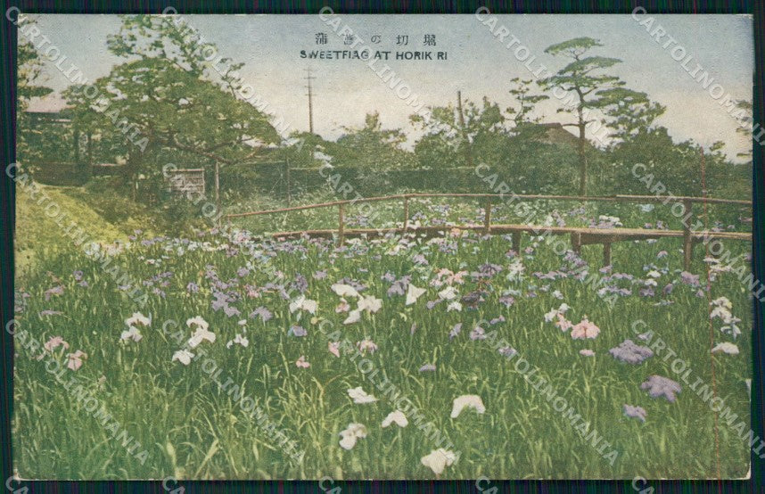 Japan Tokio Horikiri Shobuen DAMP TRACE postcard XP2512 – fronte