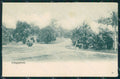 Singapore postcard XP2514 – fronte