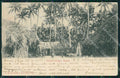 Fiji Suva Village ABRADED postcard XP2525 – fronte