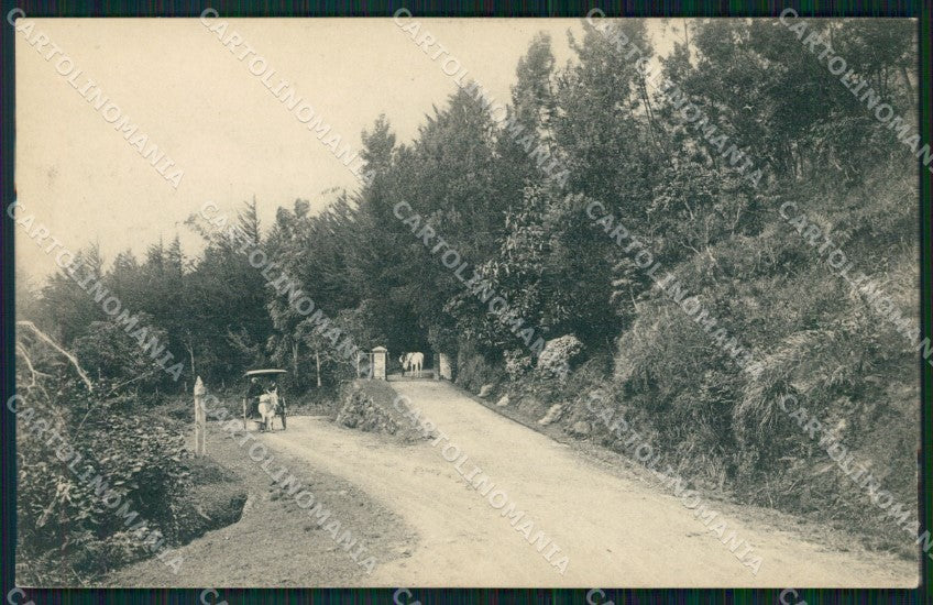 Sri Lanka Nuwara Eliya Hakgalla Gardens postcard XP2534 – fronte