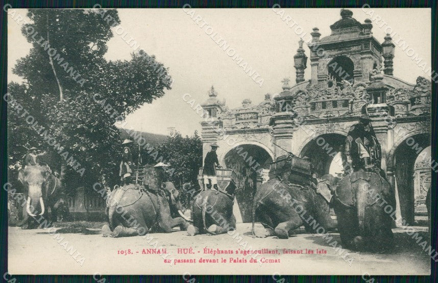Vietnam Annam Palais du Comat Elephant postcard XP2560 – fronte
