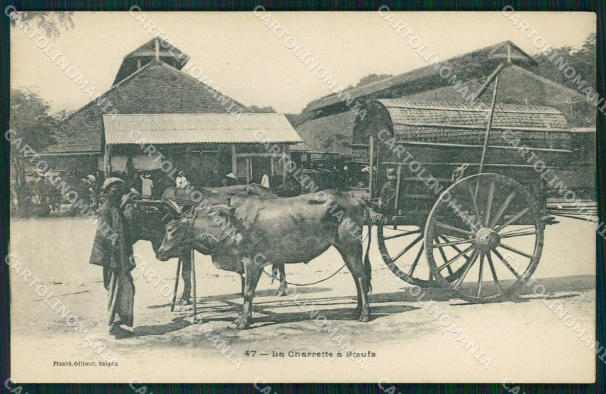 Vietnam Saigon La Charrette a Boeufs postcard XP2571 – fronte