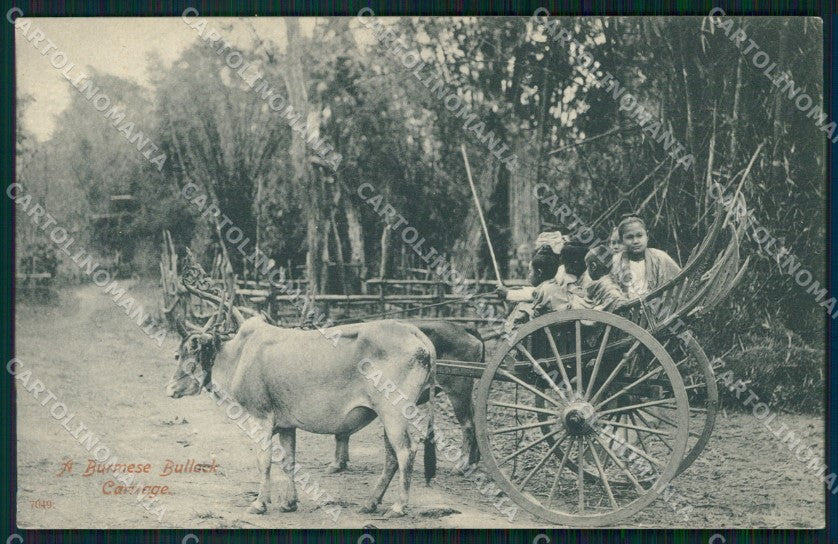 Birmania Myanmar Festival Cart CORNER CREASED postcard XP2576 – fronte
