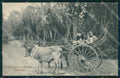 Birmania Myanmar Festival Cart CORNER CREASED postcard XP2576 – fronte