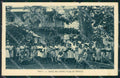 French PolynesiaThaiti Papeete postcard XP2613 – fronte
