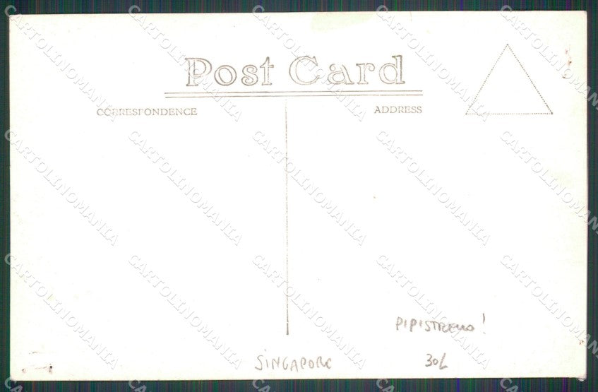 Singapore Bat HOLES RPPC postcard XP2616 – retro