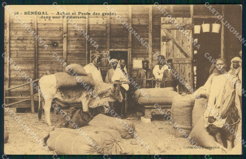 Senegal Factorerie Collection Tennequin postcard XP2620 – fronte