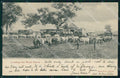 Australia Sydney Loading Wool Teams ABRADED postcard XP2645 – fronte