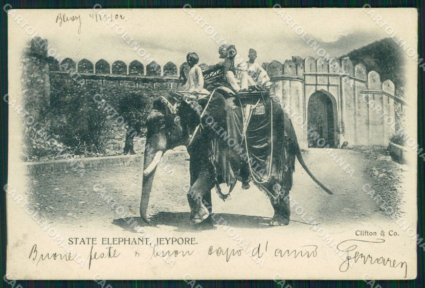 India Jaipur Khairpur Elephant postcard XP2689 – fronte