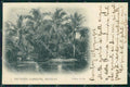 India Bombay Victoria Gardens postcard XP2696 – fronte