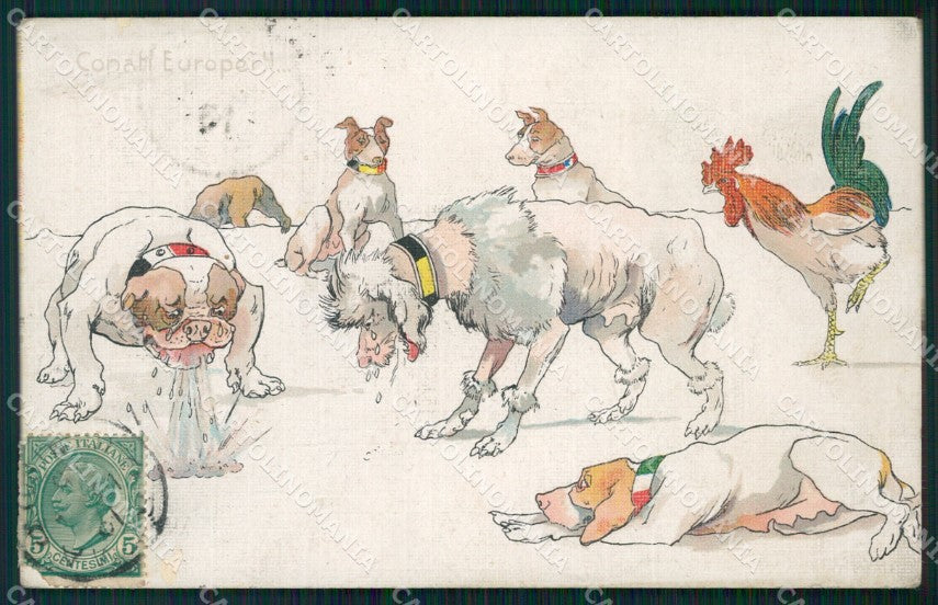 WW1 WWI Propaganda English Bulldog Poodle Dog Rooster postcard XP3178 – fronte