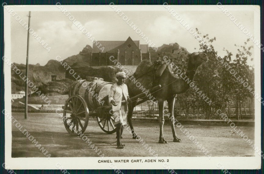 Yemen Aden Camel Water Cart RPPC postcard XP3331 – fronte