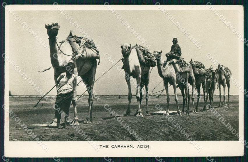 Yemen Aden The Caravan RPPC postcard XP3336 – fronte