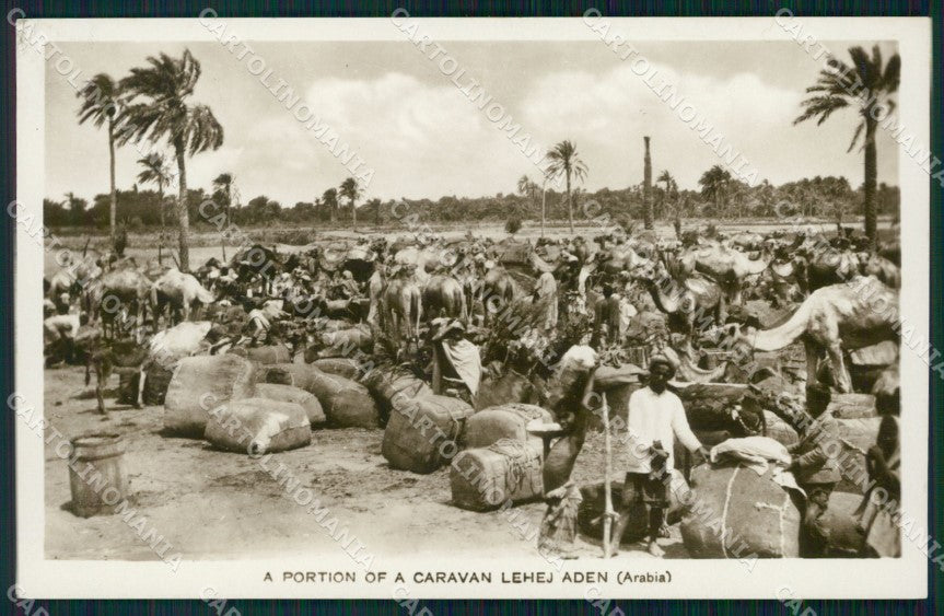 Yemen Aden Caravan Lehej RPPC postcard XP3337 – fronte