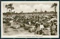 Yemen Aden Caravan Lehej RPPC postcard XP3337 – fronte