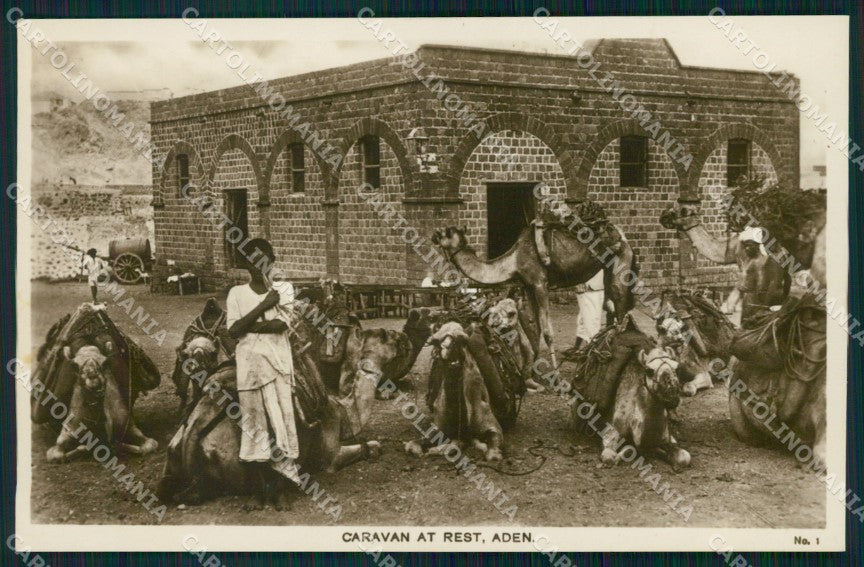 Yemen Aden Caravan at Rest RPPC postcard XP3341 – fronte