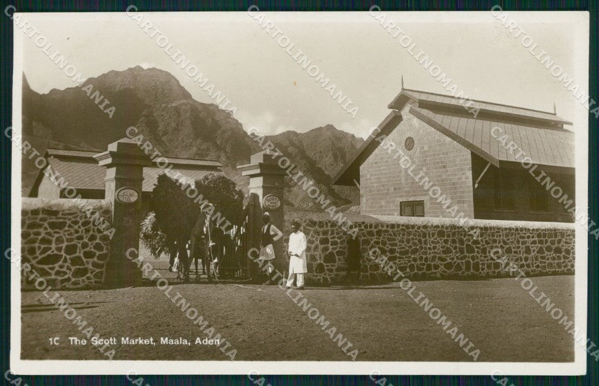 Yemen Aden The Scott Market Maala RPPC postcard XP3346 – fronte