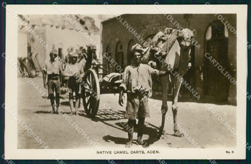 Yemen Aden Native Camel Carts RPPC postcard XP3350 – fronte