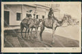 Yemen Aden Camel Riders postcard XP3352 – fronte