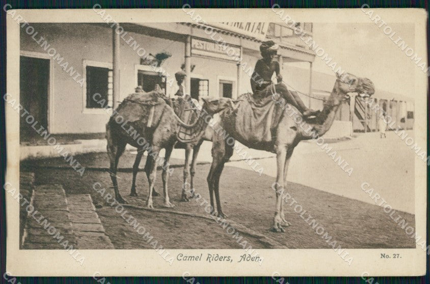 Yemen Aden Camel Riders postcard XP3352 – fronte