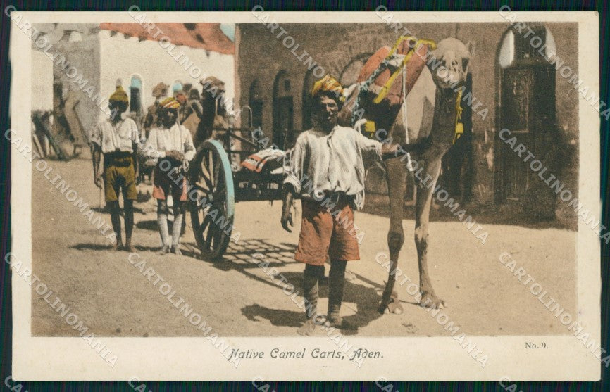 Yemen Aden Native Camel Carts postcard XP3354 – fronte
